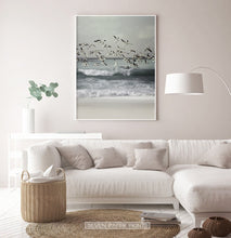 Load image into Gallery viewer, Bird Art Set of 3 Coastal Photography