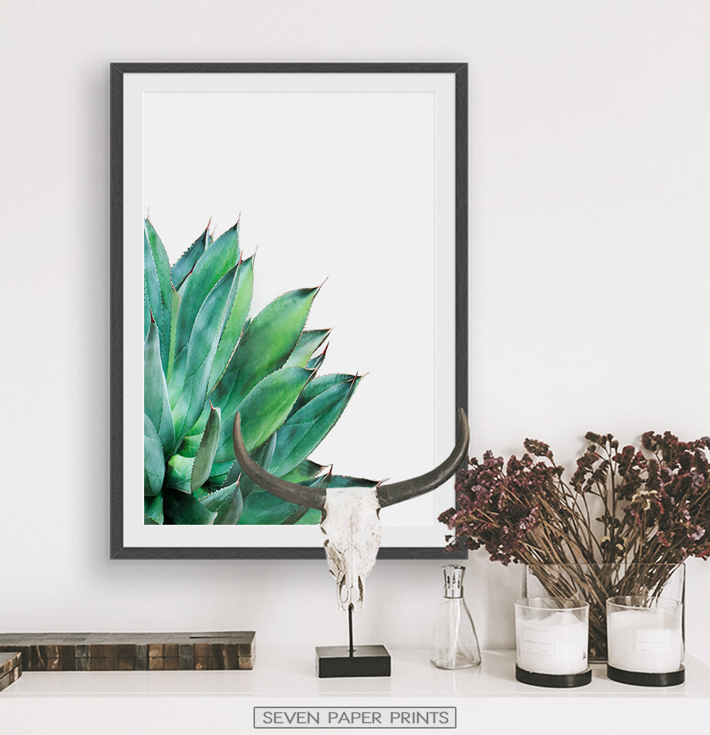 Succulent Print Set of 2 Botanical Cactus Wall Art