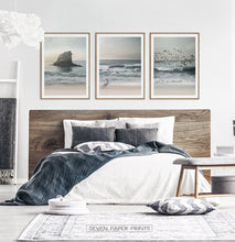 Load image into Gallery viewer, Bird Art Set of 3 Coastal Photography