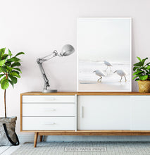 Load image into Gallery viewer, Coastal Seagulls and Ocean Waves Wall Art