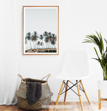 Load image into Gallery viewer, Palm Trees Tropical Photo Wall Art