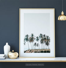 Load image into Gallery viewer, Palm Trees Tropical Photo Wall Art
