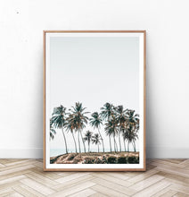Load image into Gallery viewer, Palm Trees Tropical Photo Wall Art