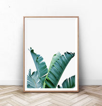 Load image into Gallery viewer, Banana Leaf Botanical Wall Art
