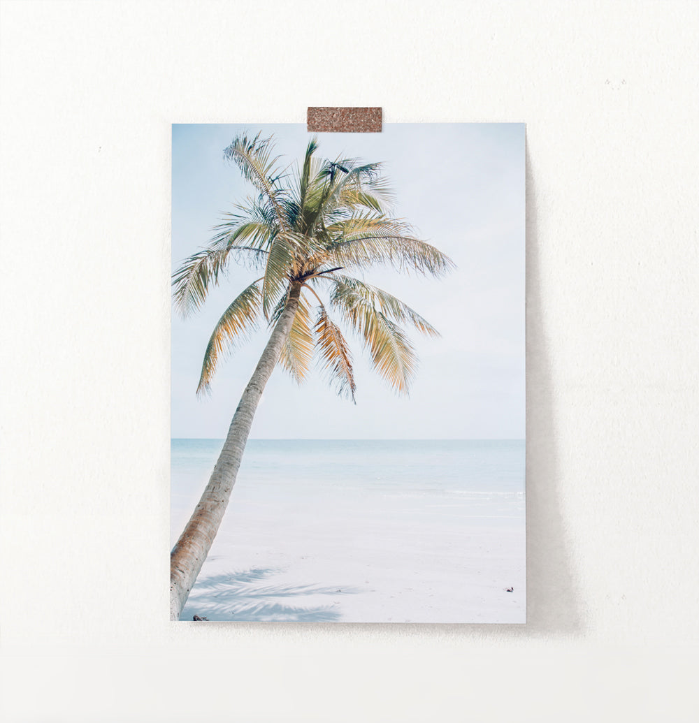 Coastal Palm Tree and Blue Sky. Tropical Print