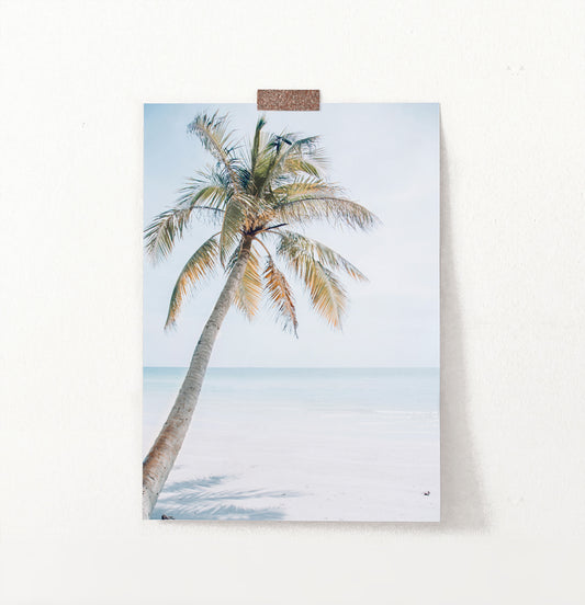 Coastal Palm Tree and Blue Sky. Tropical Print