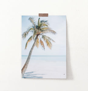 Coastal Palm Tree and Blue Sky. Tropical Print