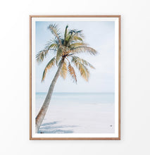 Load image into Gallery viewer, Palm tree in beach sand photo print
