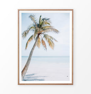 Palm tree in beach sand photo print