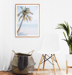 Coastal Palm Tree and Blue Sky. Tropical Print