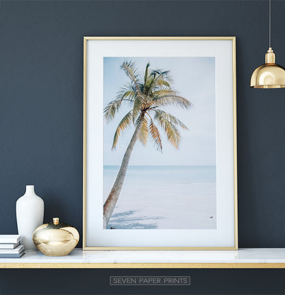 Coastal Palm Tree and Blue Sky. Tropical Print