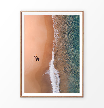 Aerial Ocean Photography Wall Decor