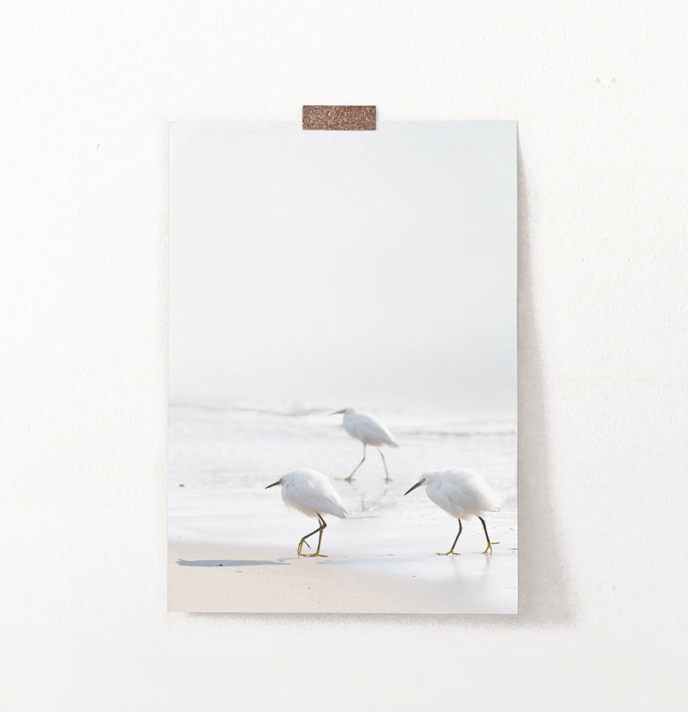 Coastal Seagulls and Ocean Waves Wall Art