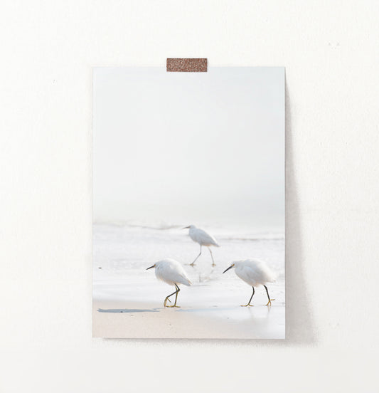 Coastal Seagulls and Ocean Waves Wall Art