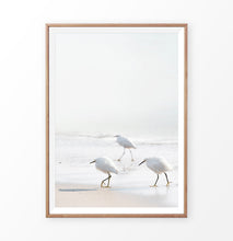 Load image into Gallery viewer, Seagulls on the beach photography

