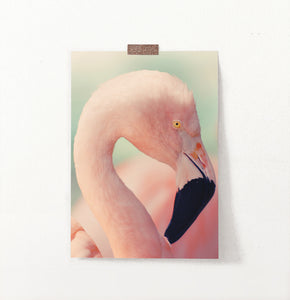 Pink Flamingo on green | Wall Art Print