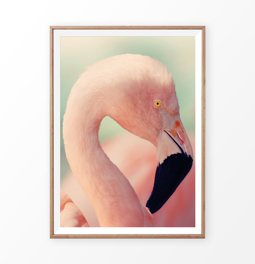 Pink Flamingo Wall Art Print