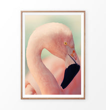 Load image into Gallery viewer, Pink Flamingo Wall Art Print
