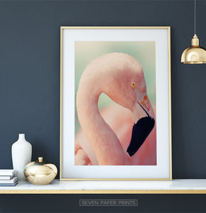 Pink Flamingo on green | Wall Art Print