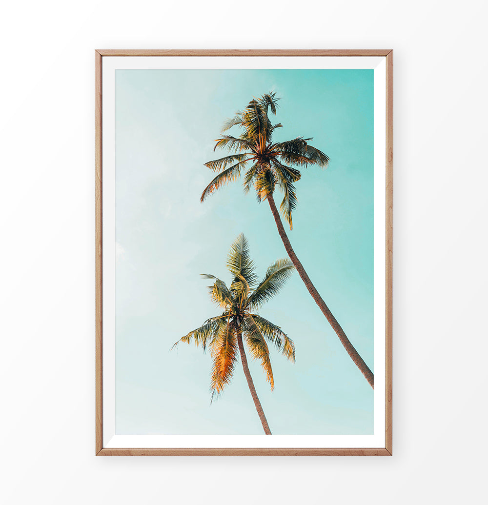 Palm Tree Photo Tropical Beach Art | Digital Palm Tree – Seven