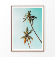Load image into Gallery viewer, Saturated Palm Tree Photo
