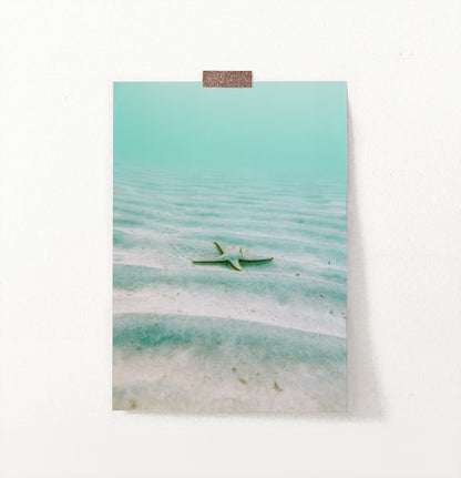Deep Sea Starfish Wall Art Print