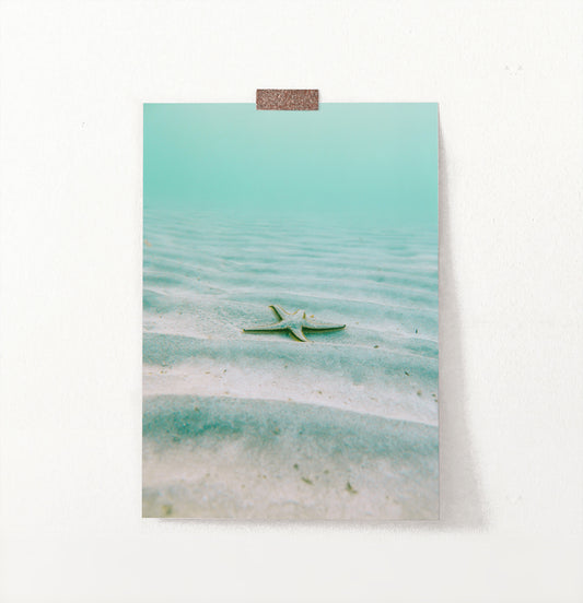 Deep Sea Starfish Wall Art Print
