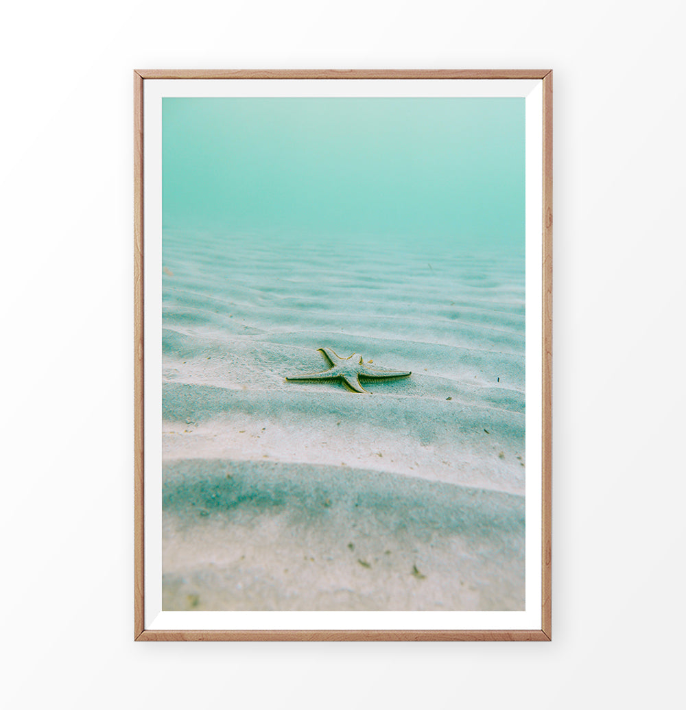 Nautical Wall Decor - Starfish in the green sea