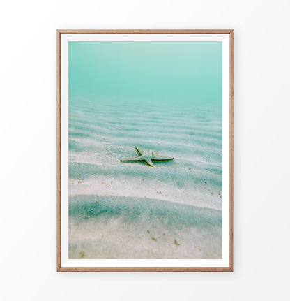Nautical Wall Decor - Starfish in the green sea