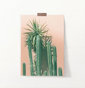 Green Cactus on pink | Botanical Wall Art
