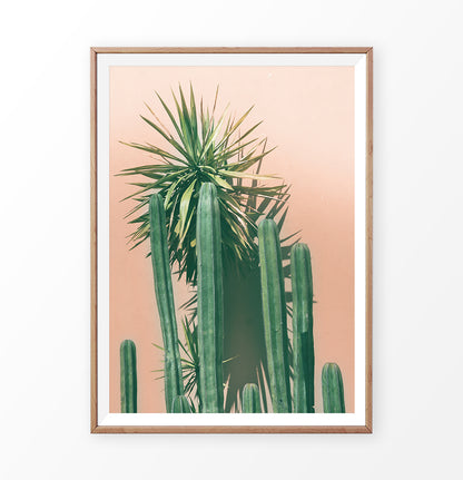 Orange Desert and Green Cactus Wall Art