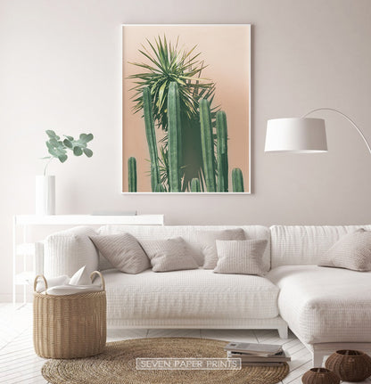 Green Cactus on pink | Botanical Wall Art