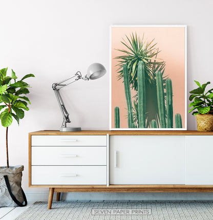 Green Cactus on pink | Botanical Wall Art