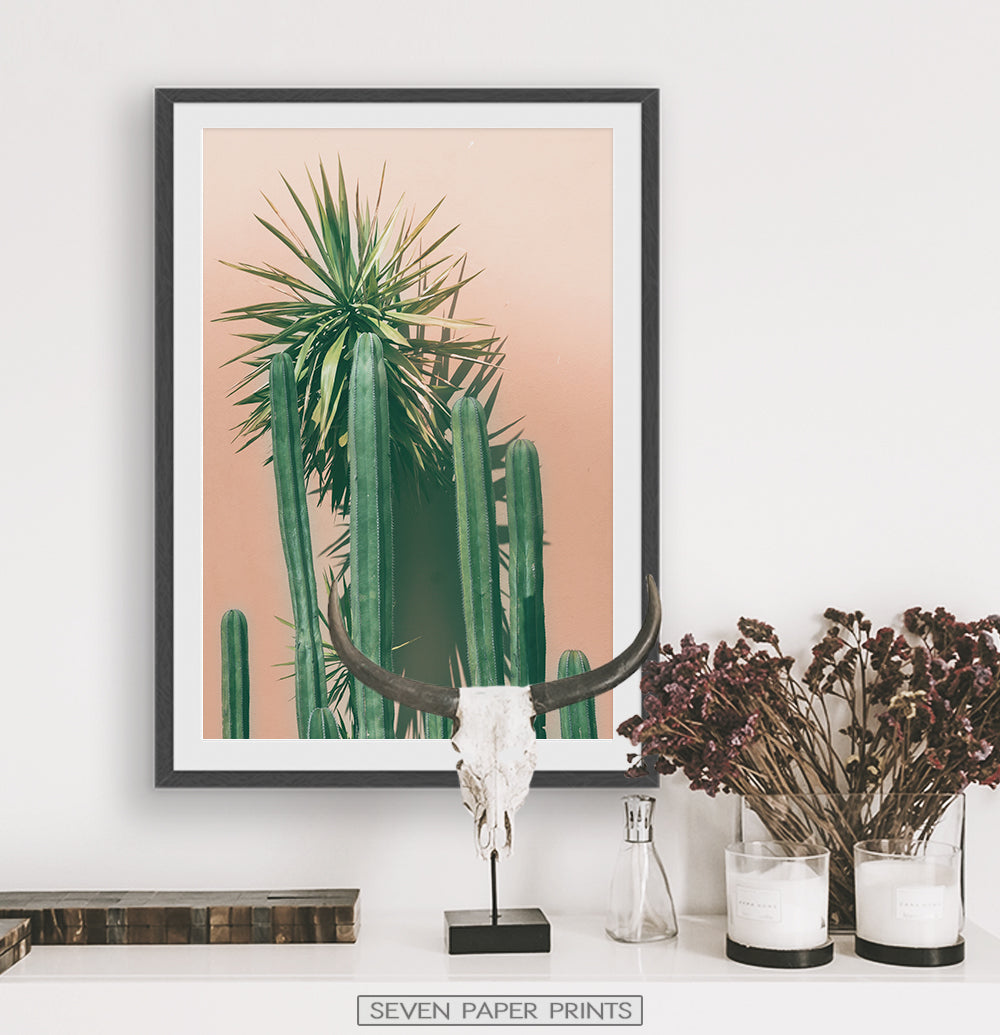 Green Cactus on pink | Botanical Wall Art