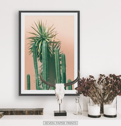 Green Cactus on pink | Botanical Wall Art
