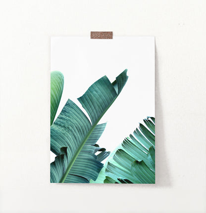 Banana Leaf Art Print