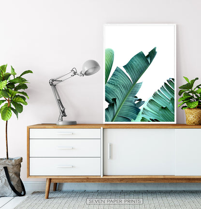 Banana Leaf Art Print