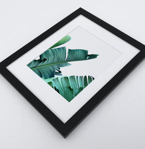 A framed photo print with banana leaves 3