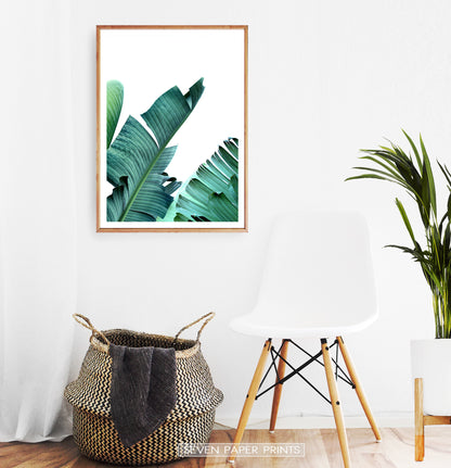 Banana Leaf Art Print