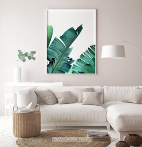 Banana Leaf Art Print