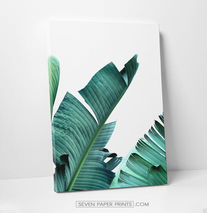 Tropical palm leaf canvas wall art set of 3 #148