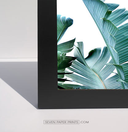 A corner of a black frame
