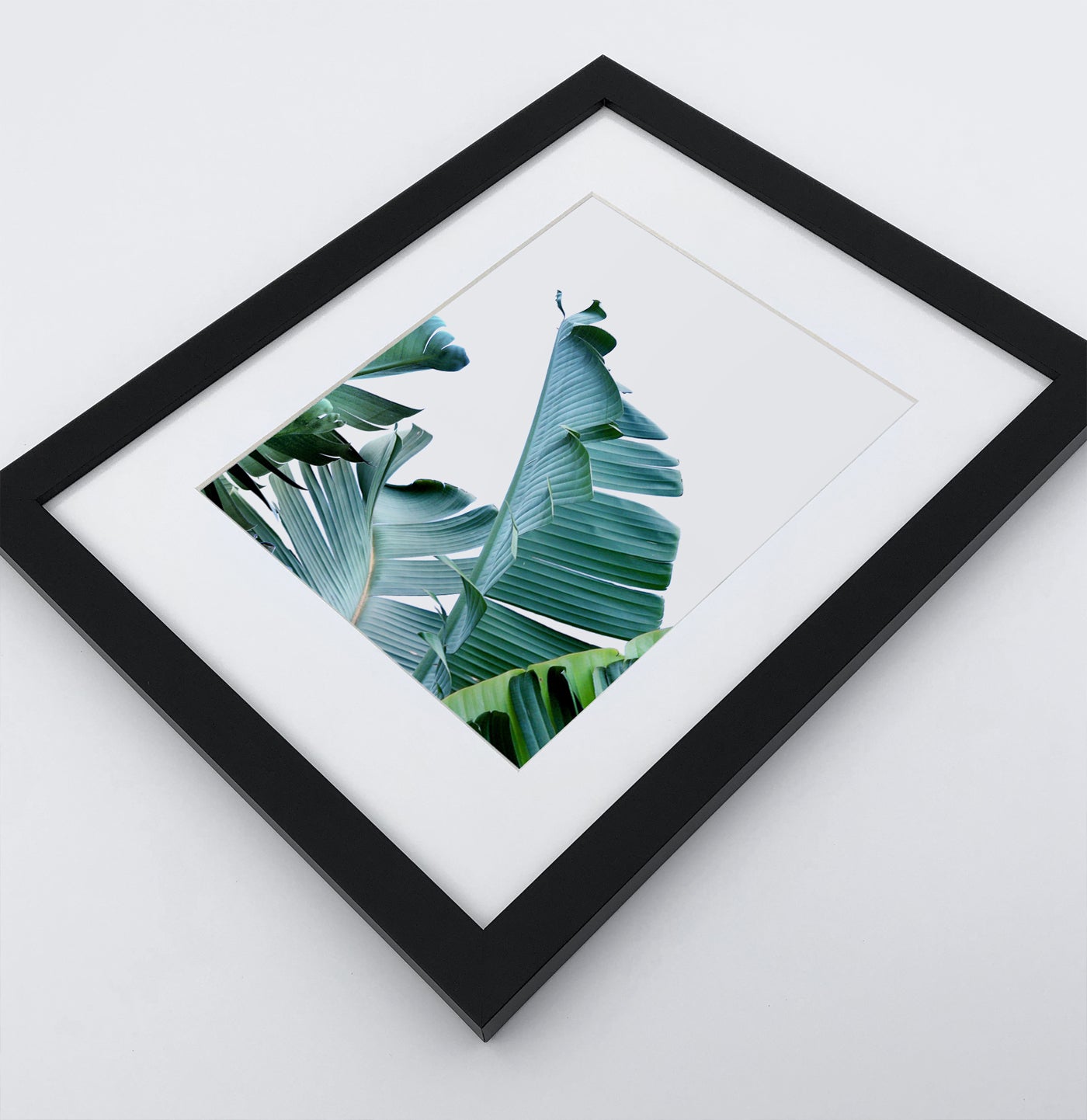 A framed photo print with banana leaves 2