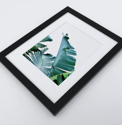 A framed photo print with banana leaves 2