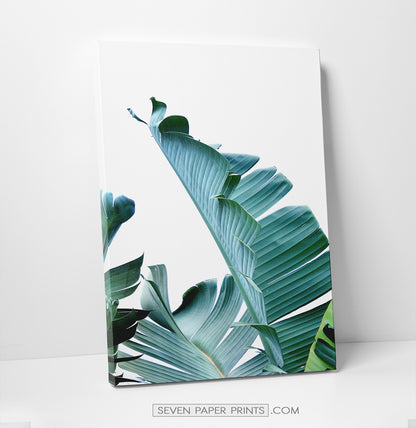 Tropical palm leaf canvas wall art set of 3 #148