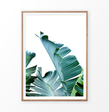 Load image into Gallery viewer, Palm Leaf Photography Print
