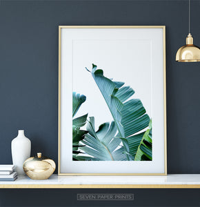 Banana Leaves Tropical Photography Print