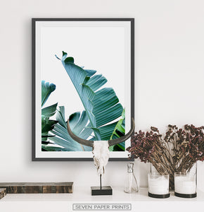 Banana Leaves Tropical Photography Print