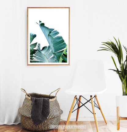 Banana Leaves Tropical Photography Print