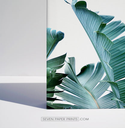 Tropical palm leaf canvas wall art set of 3 #148